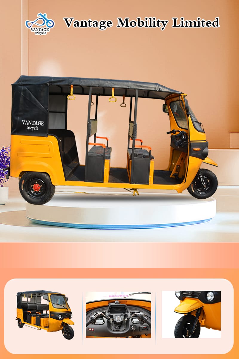 Electric Bike 20
